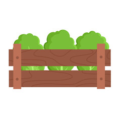 Box with green salad, agriculture