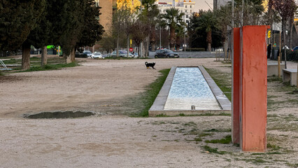 In a sunlit urban oasis, a lone black dog ambles beside an aqueduct; reminiscent of Dia de los...