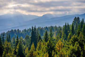Misty Morning Sun Rays Over Dense Pine Forest and Rolling Rila Mountain Ranges near the Seven Rila Lakes, Bulgaria