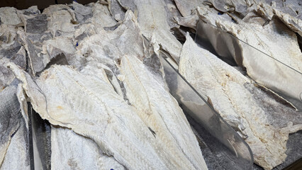 Salt-crusted bacalao drying, evoking Iberian culinary rituals, Nordic seafood traditions,...