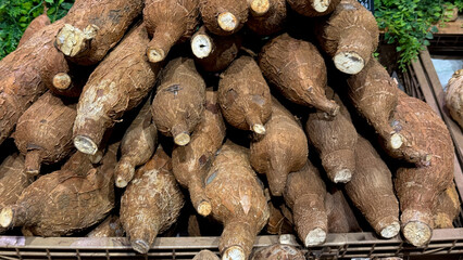 Rustic yucca bounty evokes a harvest under tropical sun, unearthing robust roots for National...