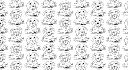 Fototapeta premium Hand Drawn Detailed Vizsla Dog Breed Puppy Seamless Pattern Design