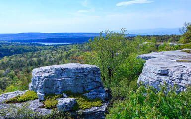 Curved green low coniferous trees growing on rocky cliffs in the mountains in spring, Appalachian Trail, New Jersey