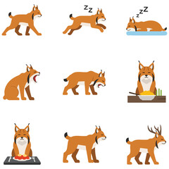 Fototapeta premium Nine illustrations of a lynx in various poses and activities on a white background