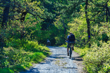 Obraz premium A tourist on a bicycle rides along a forest road in the mountains, Appalachian Trail, New Jersey