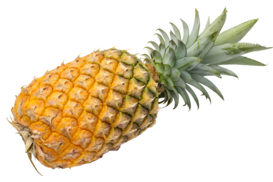 Fresh tropical pineapple fruit closeup isolated on transparent background