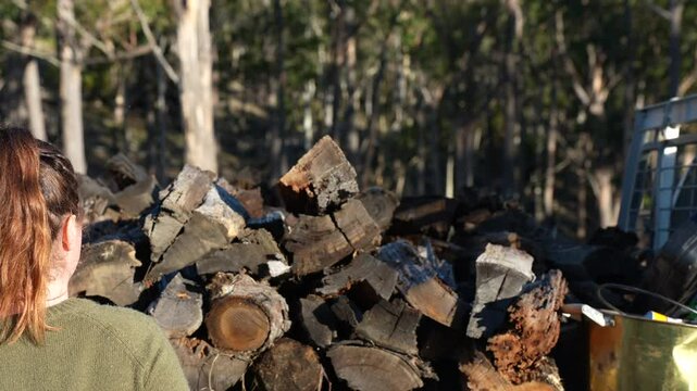 female famer Loading Firewood on a ute Preparing for Winter with Sustainable Home Heating. Hardworking Hands Gathering Wood stacking a wood pile