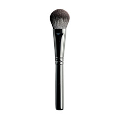 brush for makeup