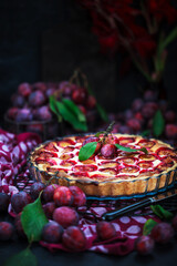 Fresh homemade plum tart or cake on dark background