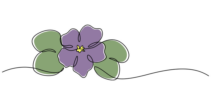 An illustration of a Saintpaulia flowering plant on a white background, African violet in continuous line art drawing style. Saintpaulia flowering plant black linear sketch isolated on pro vector.