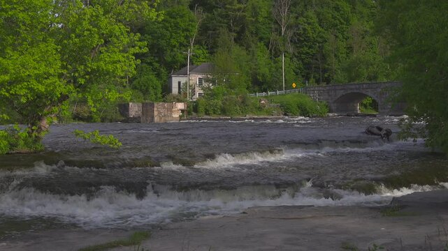 Rapids on a flowing river