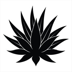 Agave Plant Silhouette Illustration on White Background