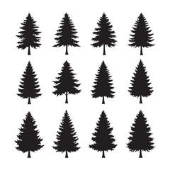 Silhouette set of pine tree on white background