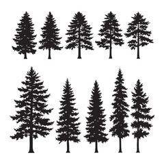 Silhouette set of pine tree on white background