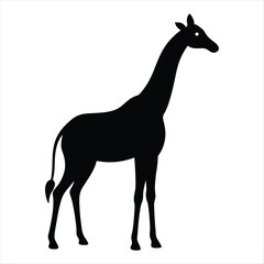 Elegant Giraffe Standing Tall in Black Silhouette