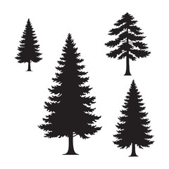 Silhouette set of pine tree on white background