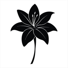 Elegant Lily Flower Black Silhouette on White Background silhouette