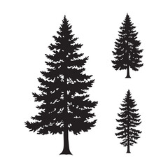 Silhouette set of pine tree on white background