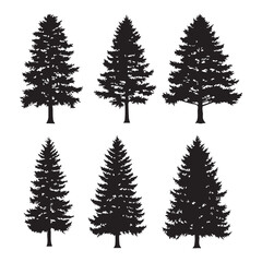 Silhouette set of pine tree on white background