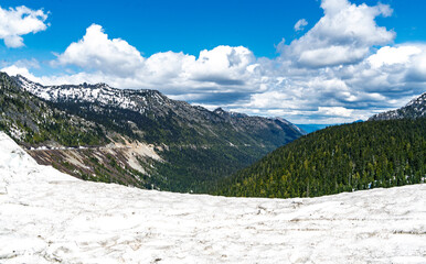Chinook Pass View