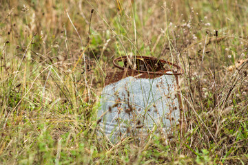A rusted metal object on top of a concrete block, surrounded by tall grass and weeds, highlighting the effect of time and nature on abandoned materials	

