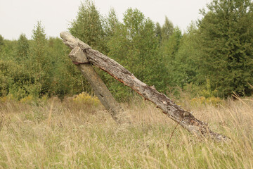 A wooden structure leaning at an angle in a grassy field, with trees in the background. The worn...