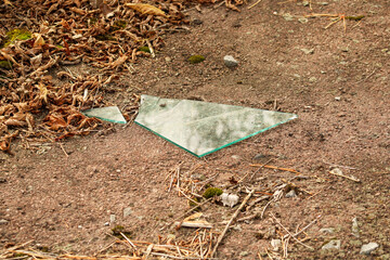 Another close-up of a broken glass fragment, lying among dried leaves and twigs, highlighting decay and texture