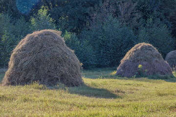 Two large haystacks sit in a grassy field, framed by trees in the background. The natural setting...