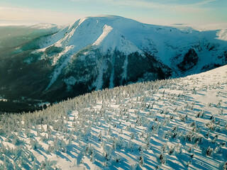 Snowy forest landscape with a mountainous backdrop under a blue sky in winter sunlight