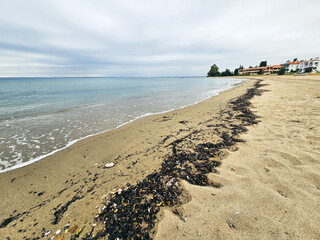 Calm seaside view at a quiet beach with gentle waves and scattered seaweed along the shoreline in Sarti on Sithonia peninsula, Greece