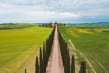 A scenic road bordered by tall cypress trees stretches toward a charming villa in the Italian...