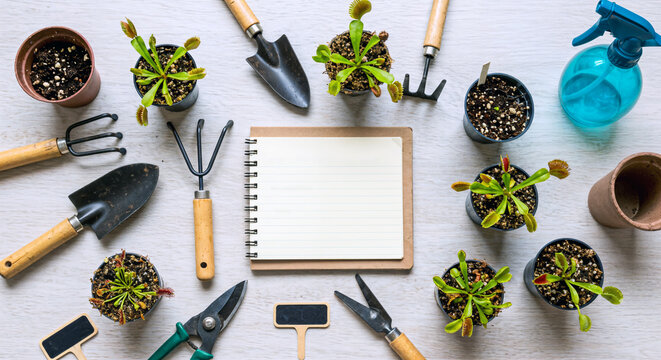 Overhead shot showcasing gardening tools and Venus flytrap plants, emphasizing a love for gardening, nature, and plant care. There is also an empty book with copyspace for text.