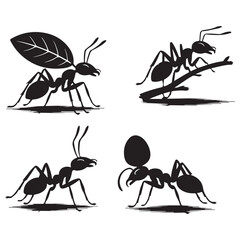 collection of ants icon. vector illustration EPS 10