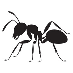 ant on white background. illustration eps 10