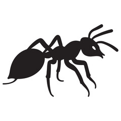 ant on white background. illustration eps 10