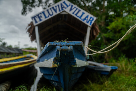 &ldquo;Rivers, Roots, and Mysteries of the Amazon&rdquo; "R&iacute;os, Ra&iacute;ces y Misterios del Amazonas"