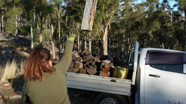 female famer Loading Firewood on a ute Preparing for Winter with Sustainable Home Heating. Hardworking Hands Gathering Wood stacking a wood pile