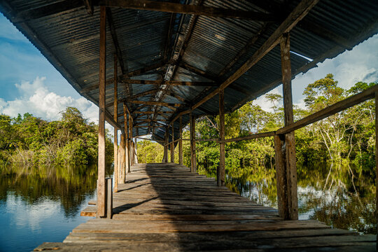 &ldquo;Rivers, Roots, and Mysteries of the Amazon&rdquo; "R&iacute;os, Ra&iacute;ces y Misterios del Amazonas"