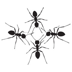 collection of ants icon. vector illustration EPS 10