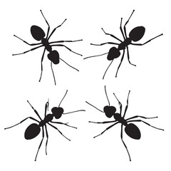 collection of ants icon. vector illustration EPS 10