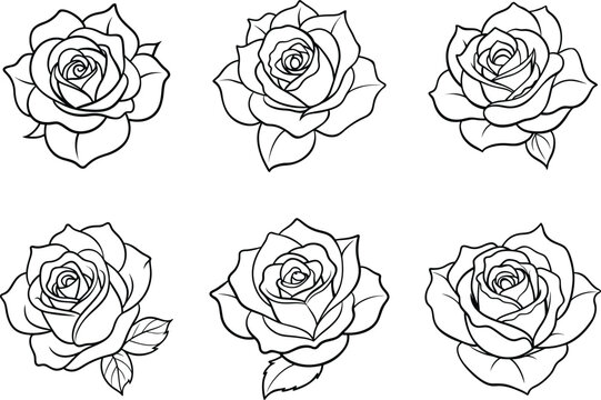 set of rose line art illustrations, various bloom stages and angles, thin vector strokes with graceful floral shapes, isolated on white background
