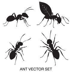 silhouette and White background ant vector 4 set. vector eps 10