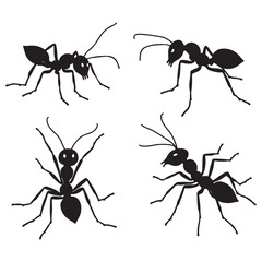 silhouette and White background ant vector 4 set. vector eps 10