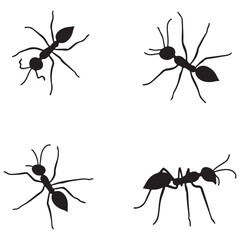 silhouette and White background ant vector 4 set. vector eps 10