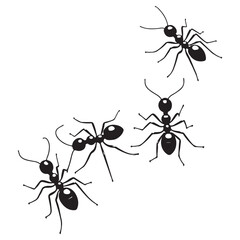 silhouette and White background ant vector 4 set. vector eps 10