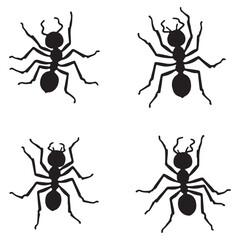 silhouette and White background ant vector 4 set. vector eps 10