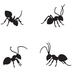 silhouette and White background ant vector 4 set. vector eps 10