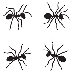 set of black silhouette ants icon. vector illustration eps 10