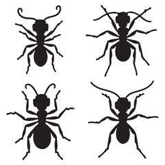 set of black silhouette ants icon. vector illustration eps 10