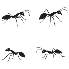 set of black silhouette ants icon. vector illustration eps 10